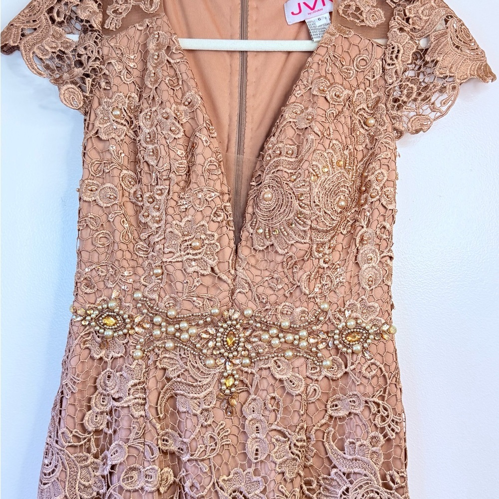 JVN Embroidered Lace Dress in Tan